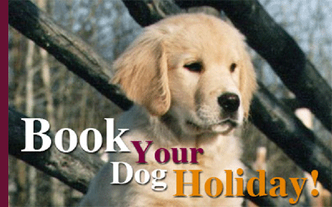 Book Your Dog Holiday